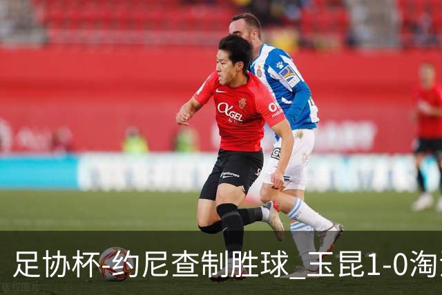 足协杯-约尼查制胜球 玉昆1-0淘汰铜梁龙进4强将战英博